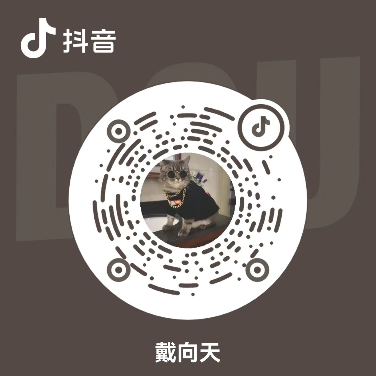 洋铲工作室天幕低代码官方抖音二维码